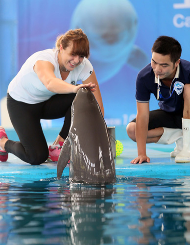 队的投入与 队的投入与